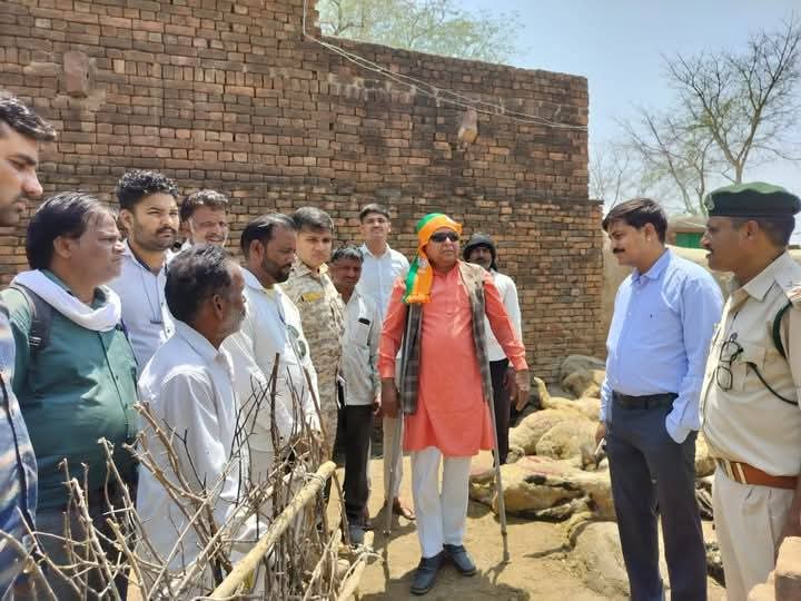 शिवपुरी: भेड़ों के बाड़े में जंगली जानवर का हमला, 30 भेड़ों की मौत