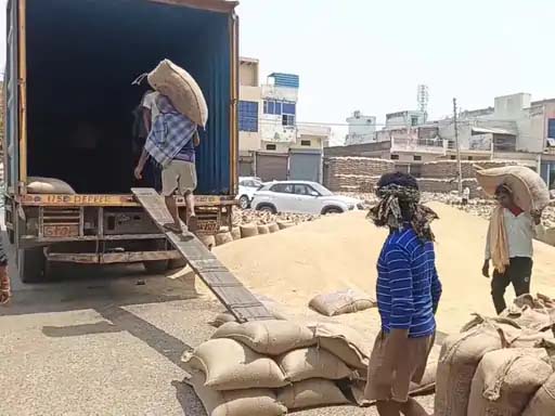 फरीदाबाद :  गेहूं का उठान कार्य तेज, 70 हजार क्विंटल अजान गोदामों में भेजा