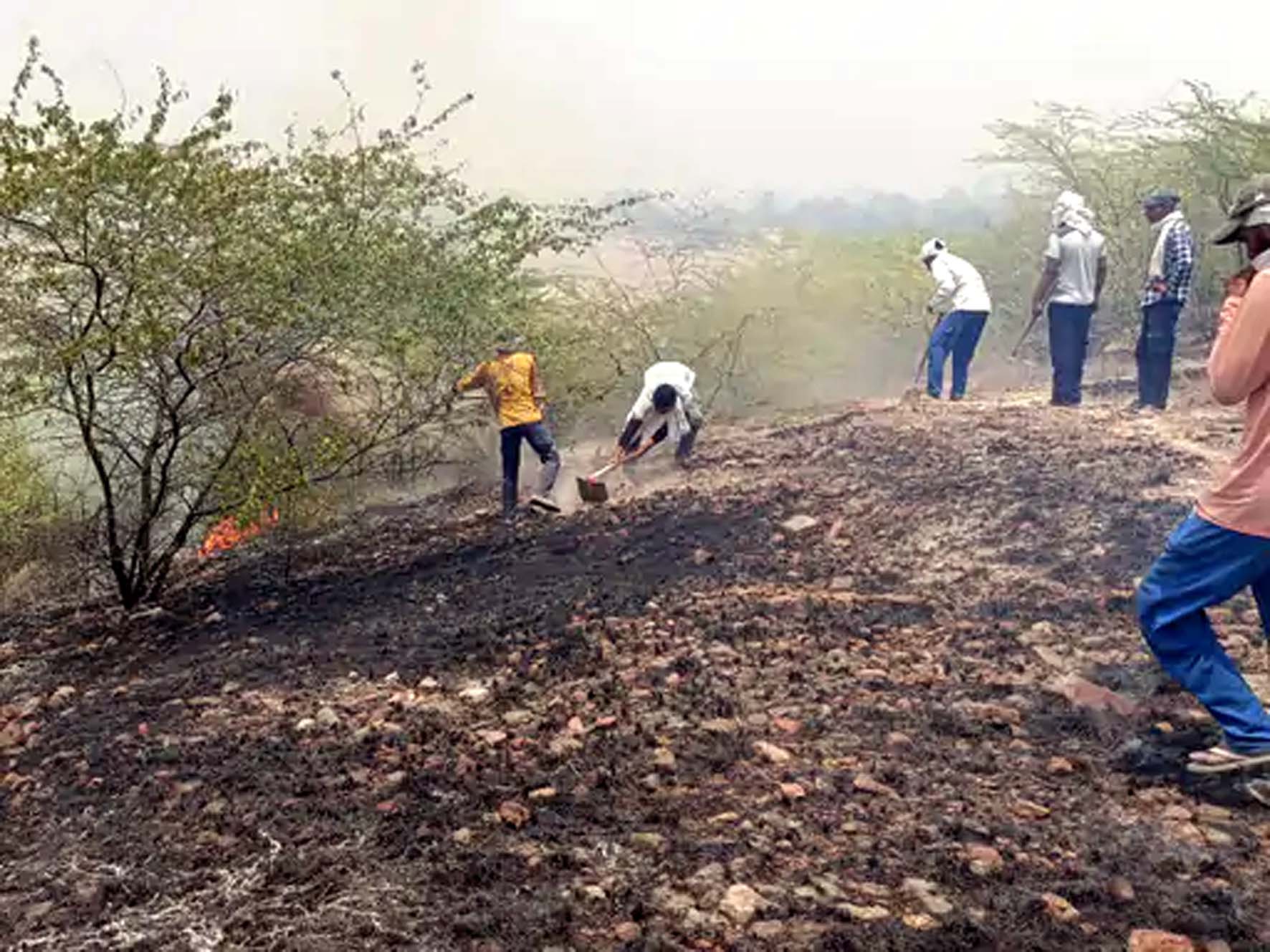 हिसार : अग्रोहा के ऐतिहासिक टीले पर दूसरी बार लगी आग