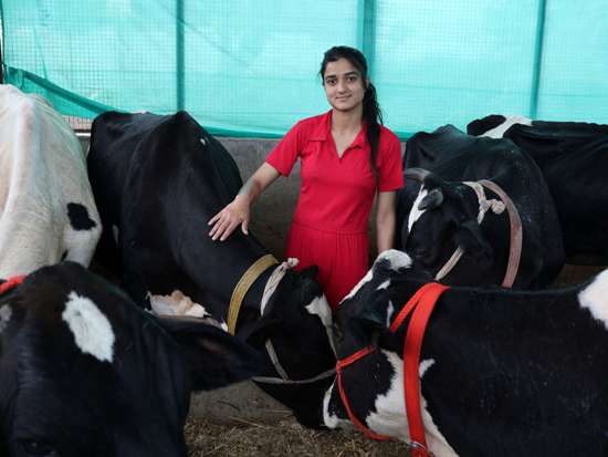 दुग्ध उत्पादन में सकीना डेयरी फार्म बना आदर्श, तुंगल क्षेत्र की युवा उद्यमी के ज़ज्बे ने लिखी सफलता की नई इबारत