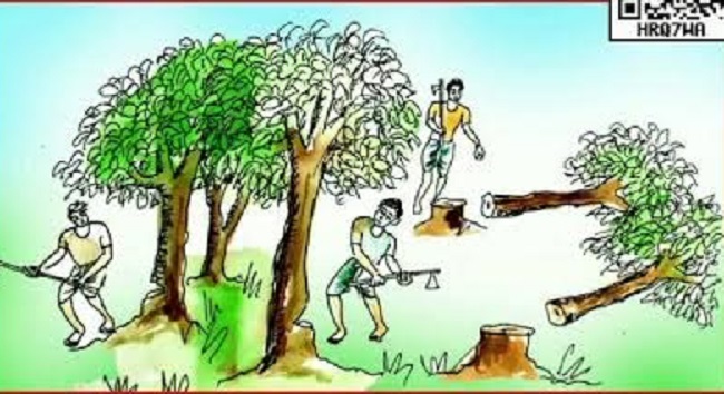 मध्य प्रदेश की “वूमन फॉर ट्री” अभियान में सशक्त भागीदारी, राष्ट्रीय स्तर पर दूसरे स्थान पर