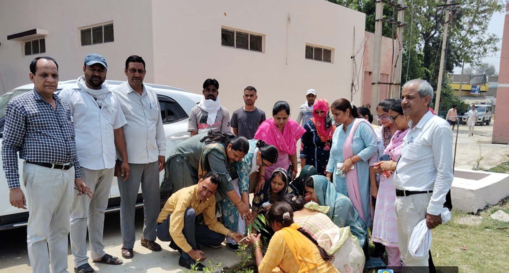 हिसार बनेगा एक पेड़ मां के नाम अभियान से हरा-भरा