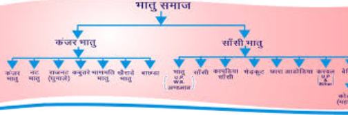 मऊ जिले में भांतु जाति के प्रमाण पत्र बनाने को लेकर ऊहापोह की स्थिति