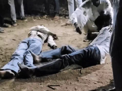 हाईवे पर तेज रफ्तार कार पेड़ से टकराई, चार दोस्तों की मौत, दो गंभीर घायल