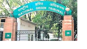 भीलवाड़ा शहर में पेयजल की बर्बादी पर एनजीटी सख्त, जलदाय विभाग को तत्काल कार्रवाई के निर्देश