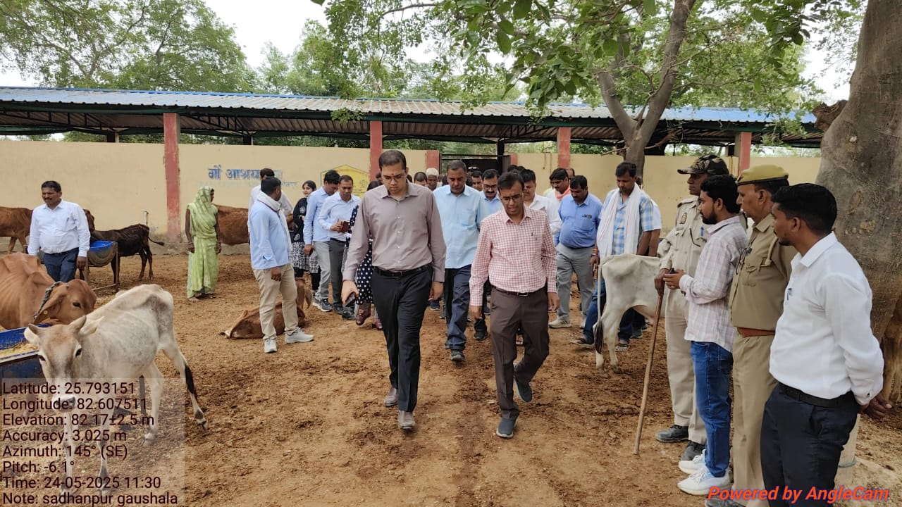 अल्पसंख्यक कल्याण निदेशक गौशाला का निरक्षण करते हुए अल्पसंख्यक कल्याण निदेशक गौशाला का निरक्षण करते हुए