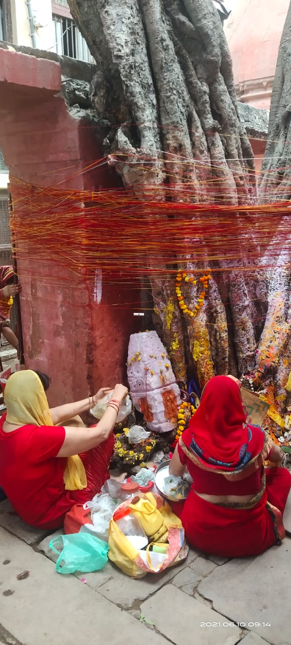 अखंड सौभाग्य के लिए महिलाओं ने वट सावित्री का किया विधि विधान से पूजन,वट वृक्ष की परिक्रमा