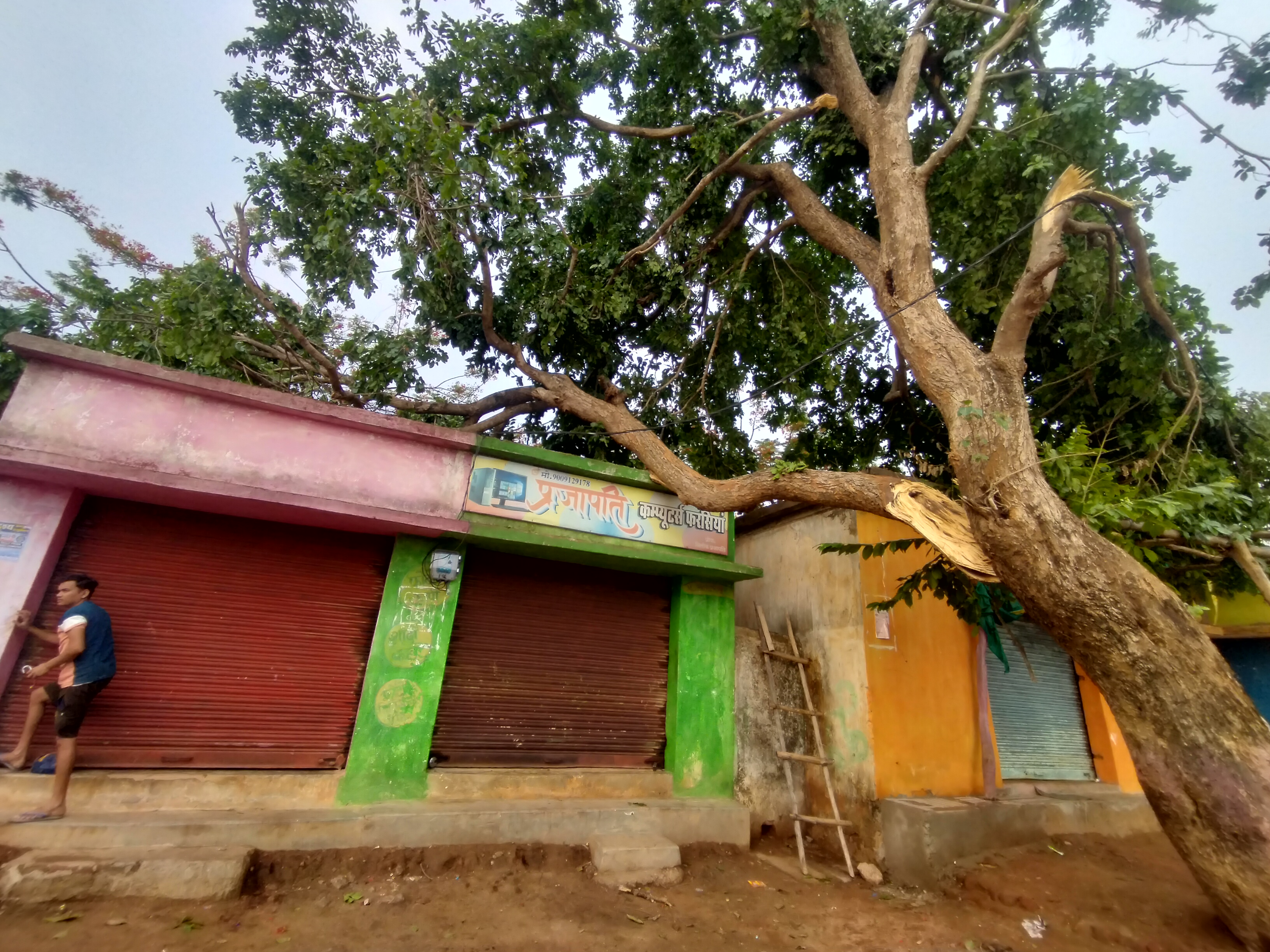 शापिंग कांप्लेक्स के ऊपर गिरा विशाल पेड़। शापिंग कांप्लेक्स के ऊपर गिरा विशाल पेड़।