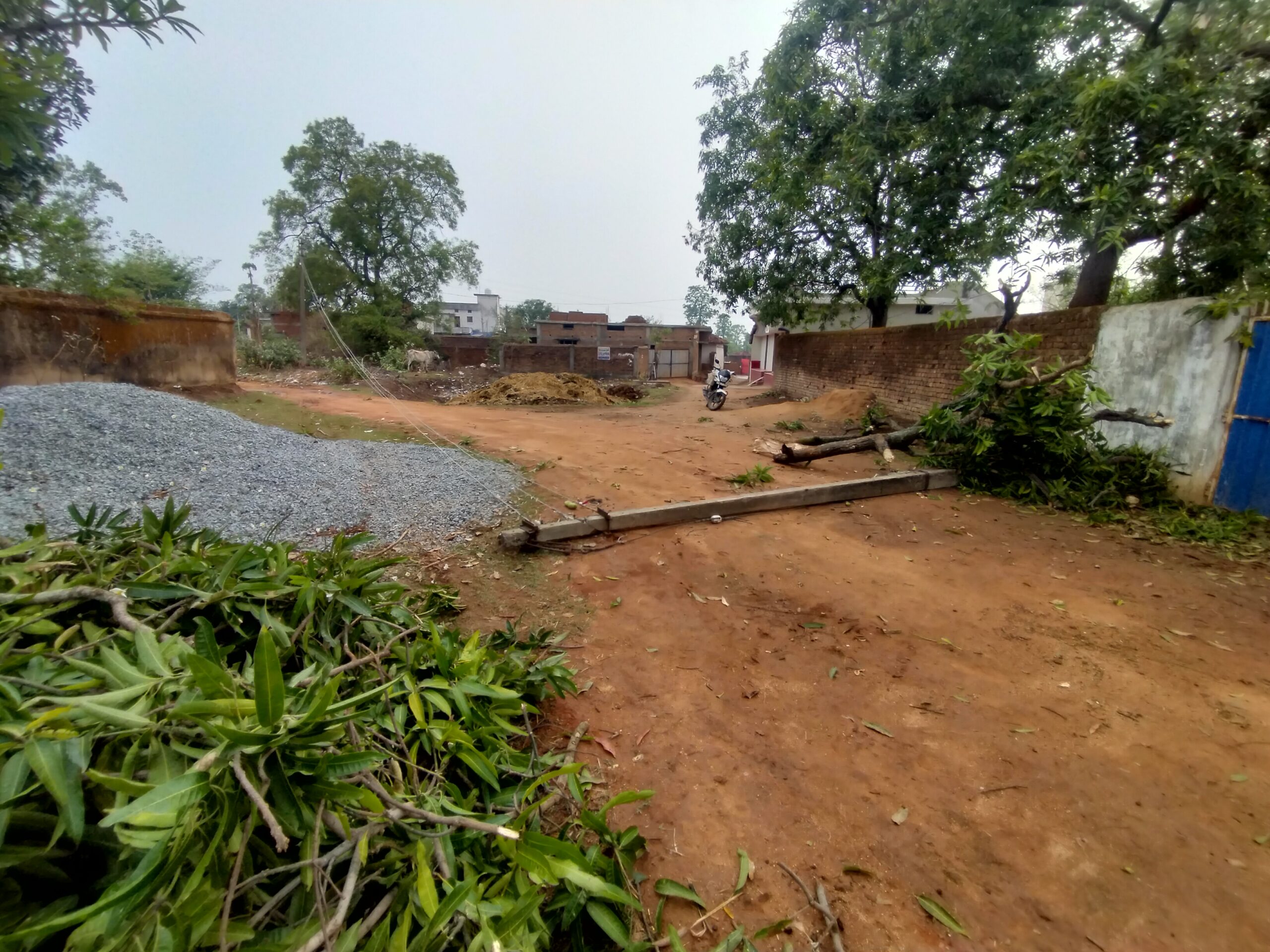 धमतरी के वनांचल में आंधी तूफान से कई पेड़ गिरे, घंटों बिजली बंद रही