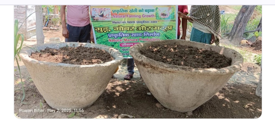 नालंदा में अनुठा प्रयास गुड़, गोबर और मट्ठा से तैयार कर दी प्राकृतिक खाद