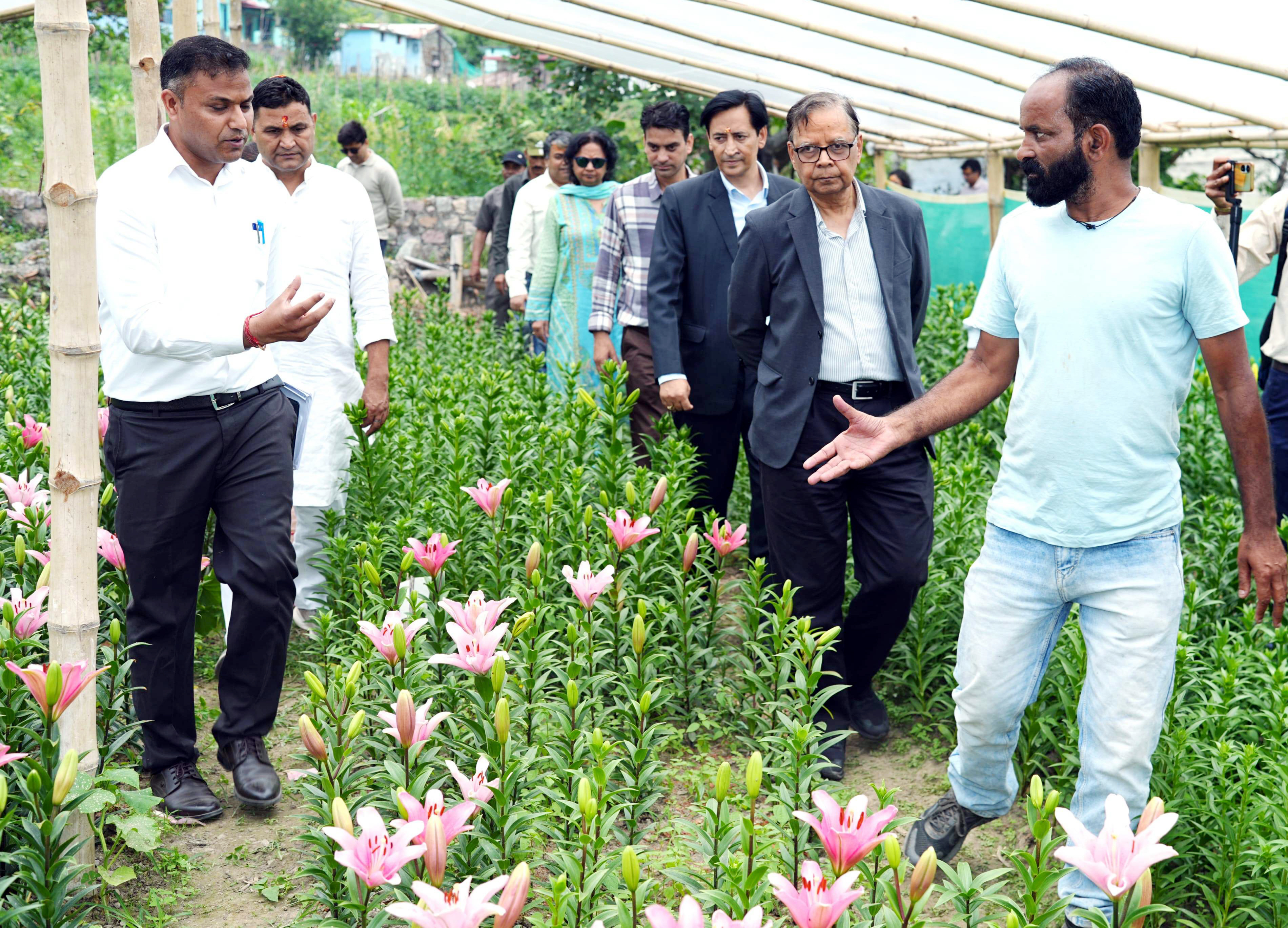 चांफी में मुख्यमंत्री एकीकृत बागवानी विकास योजना के अंतर्गत पॉली हाउस नर्सरी का निरीक्षण करते 16वें केंद्रीय वित्त आयोग के अध्यक्ष डॉ. अरविंद पनगढ़िया एवं अधिकारी।