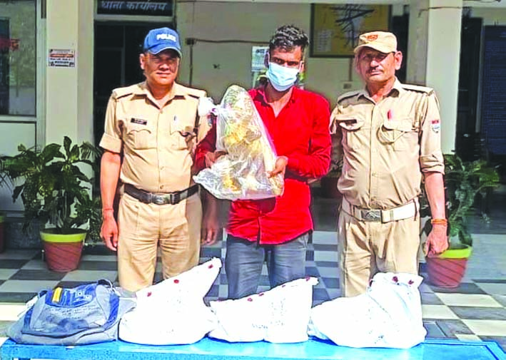 मंदिरों को निशाना बनाने वाले सुल्तान हरियाणा से गिरफ्तार