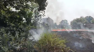 पराली जलाने से लगी खेतों में लगी आग, दमकल ने पाया काबू