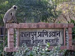 कानपुर प्राणि उद्यान में नीलगाय की मौत, जांच के लिए भोपाल लैब भेजे जाएंगे सैंपल