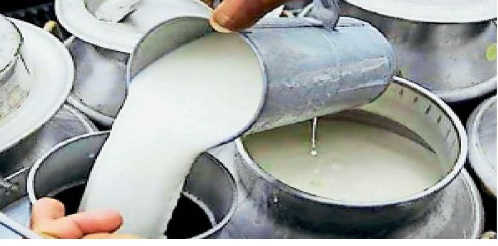 दुग्ध संकलन में राजस्थान पिछड़ा: नाराज दूध उत्पादक दो जून को करेंगे प्रदर्शन