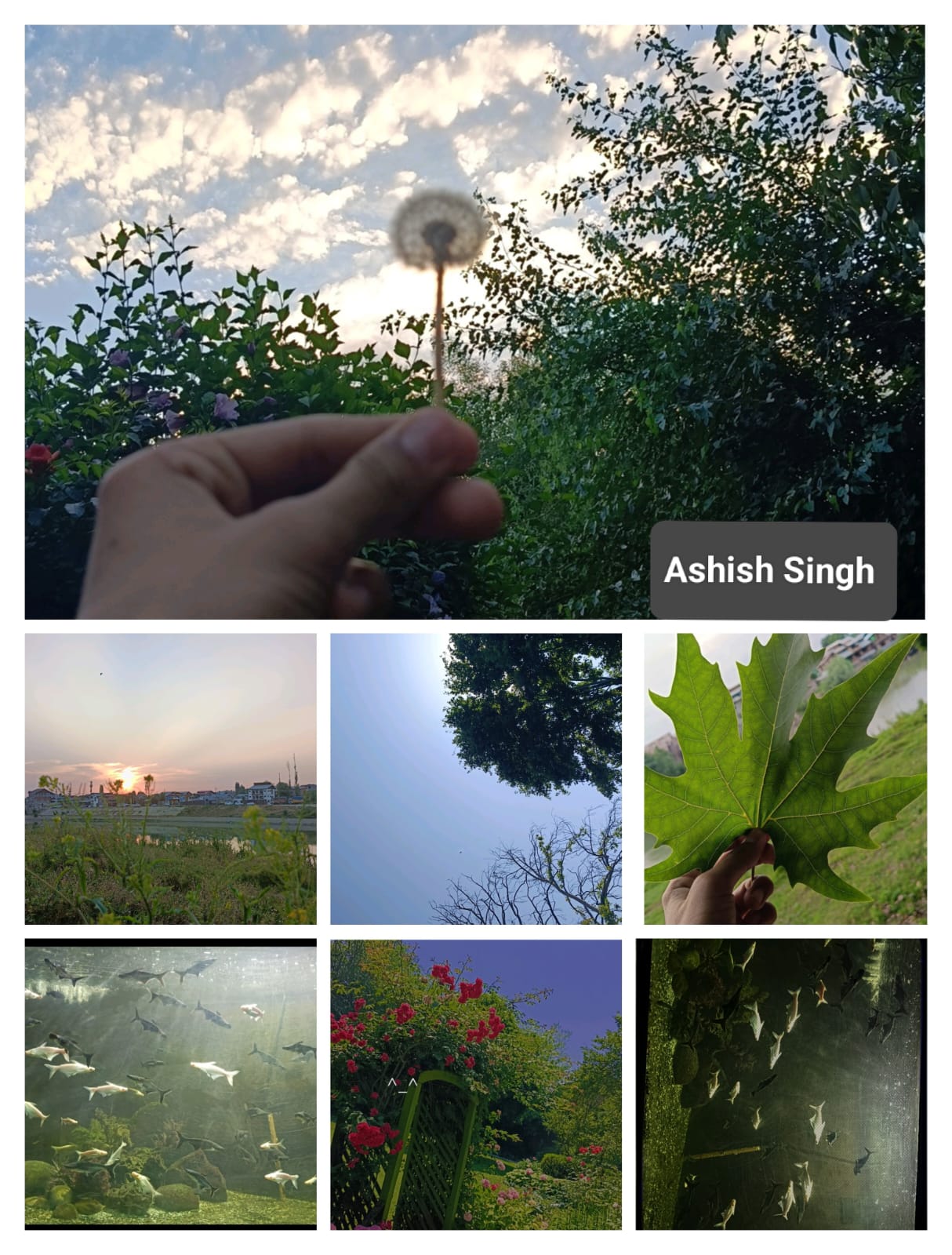 जीजीएम साइंस कॉलेज ने छात्र भागीदारी के साथ अंतर्राष्ट्रीय जैव विविधता दिवस मनाया