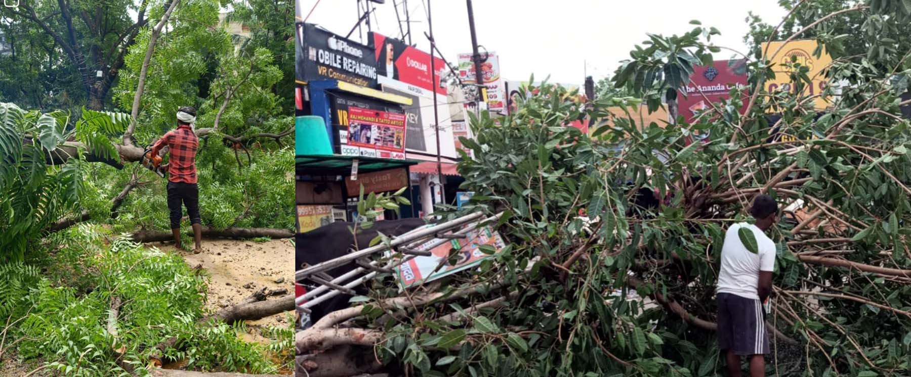 गुरुग्राम नगर निगम क्षेत्र में तूफान से गिरे 34 पेड़