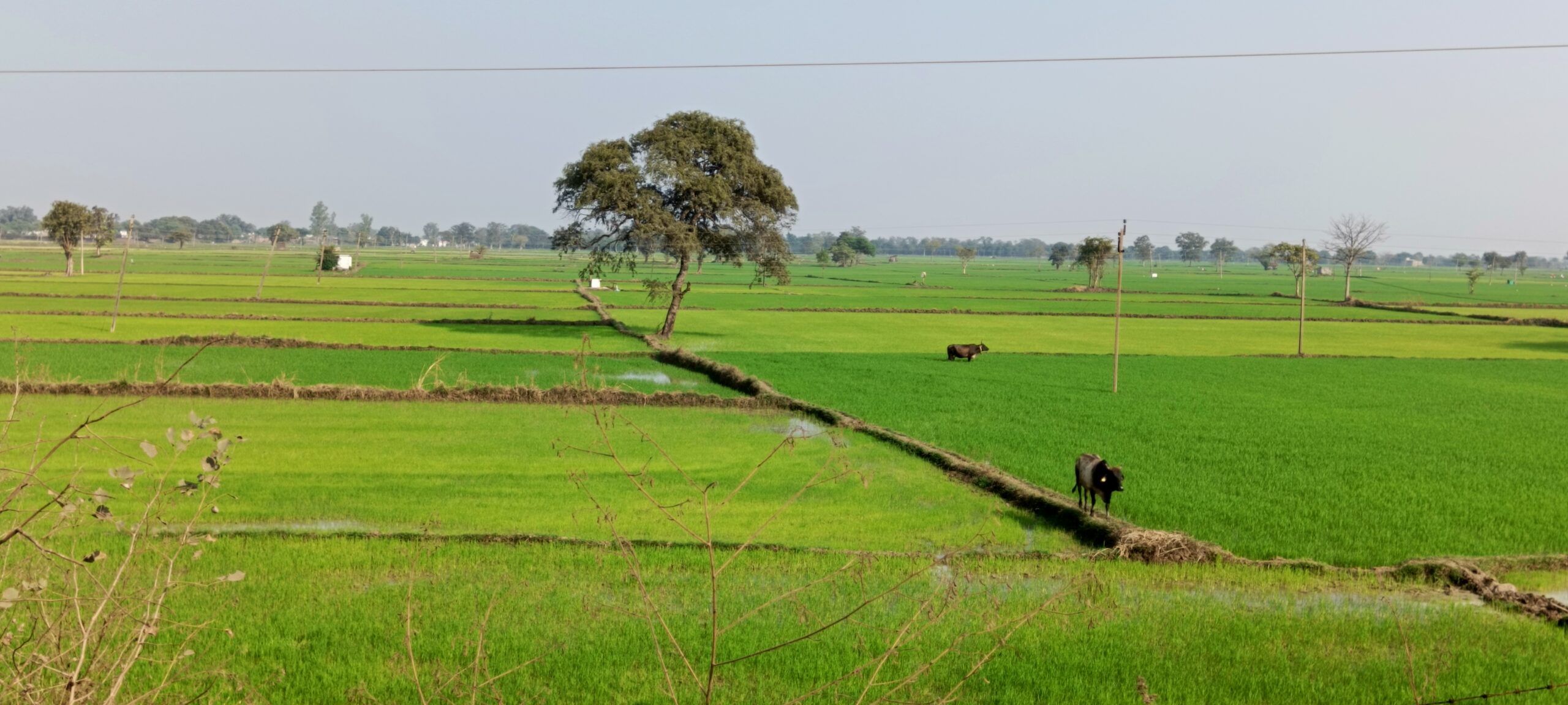 किसानों को बताया गया जल संरक्षण करते हुए कैसे करें जैविक खेती जानकारी