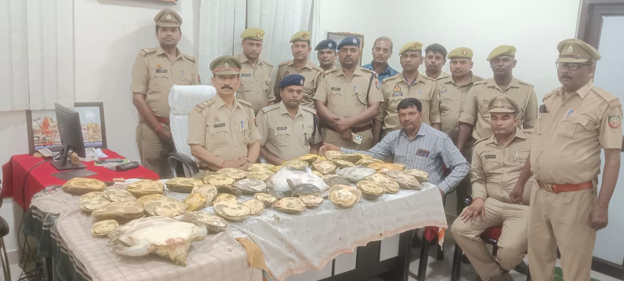 उप्र में विभिन्न राज्यों से पकड़े गए कछुओं को किया जा रहा संरक्षित