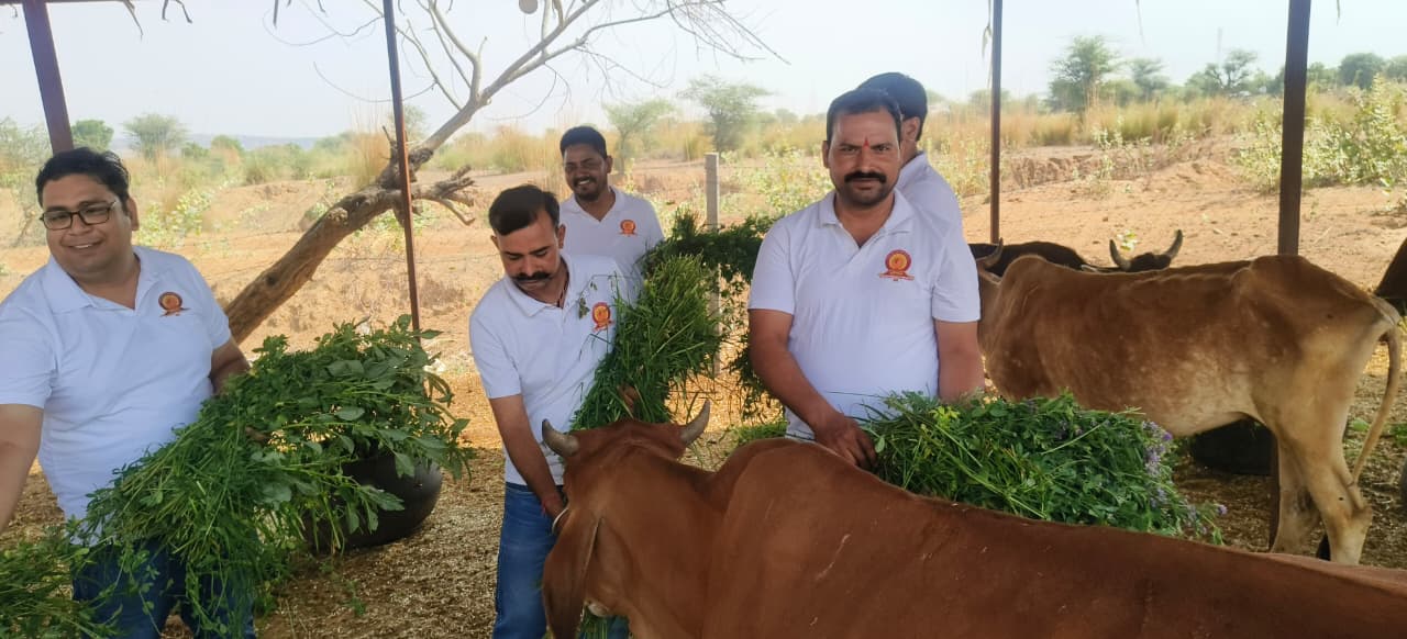 सोमवती अमावस्या पर सजी विशेष झांकी, गौशालाओं में किया दान-पुण्य