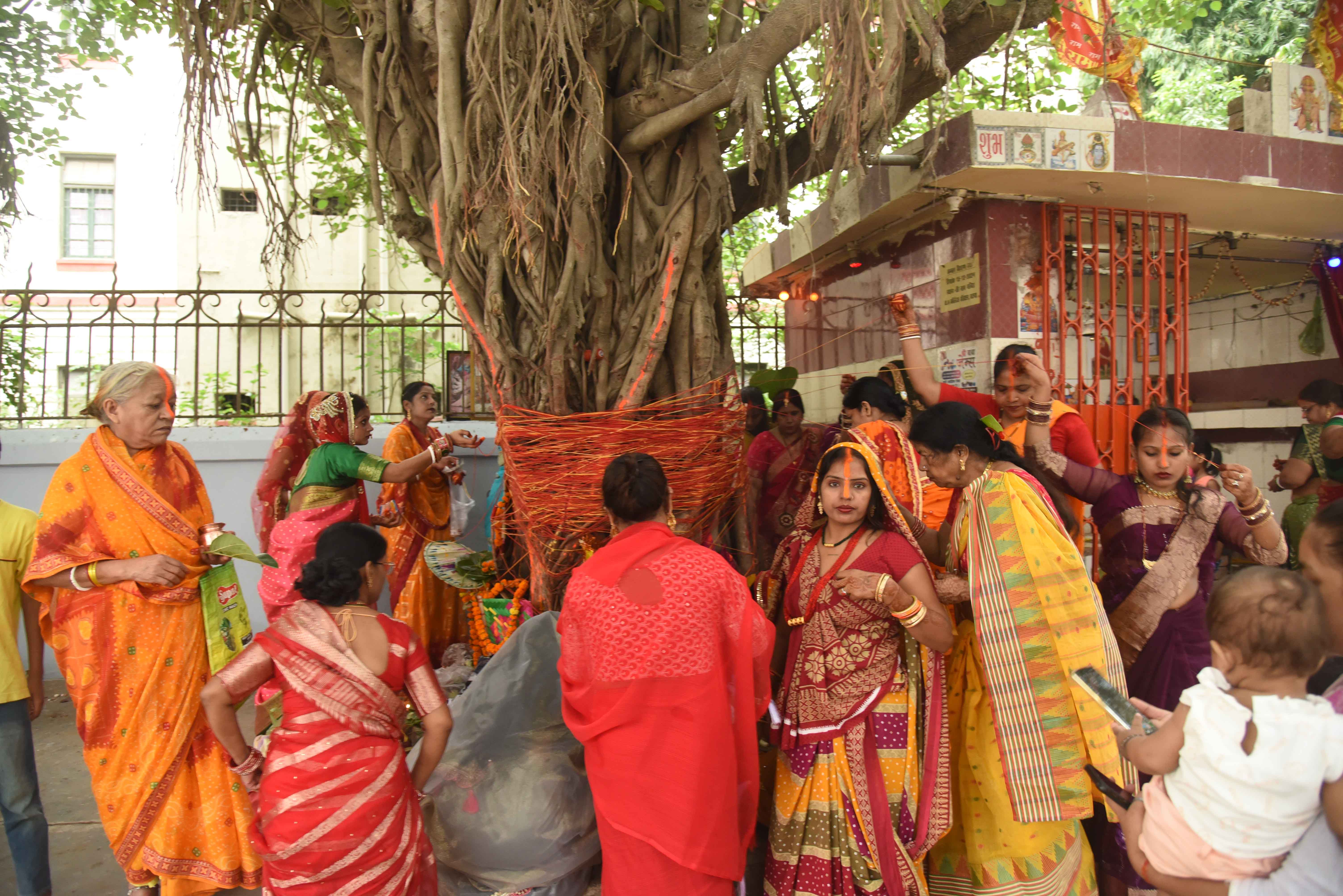 वट सावित्री पूजा के अवसर पर महिलाएं अपने वैवाहिक जीवन की खुशहाली और पति की लंबी आयु की प्रार्थना करती हुई, वट सावित्री पूजा के अवसर पर महिलाएं अपने वैवाहिक जीवन की खुशहाली और पति की लंबी आयु की प्रार्थना करती हुई,
