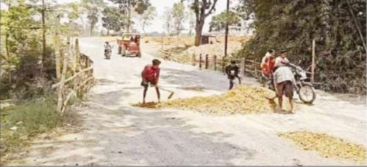 बलरामपुर : जन सहयोग से भरे जा रहे हाइवे के गड्ढे