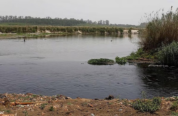 मप्र : शहरी क्षेत्रों में तालाबों को प्रदूषण मुक्त करने के लिये 74 करोड़ रुपये का अनुदान जारी