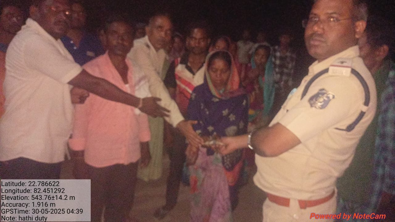 कोरबा में हाथी ने ग्रामीण को कुचला