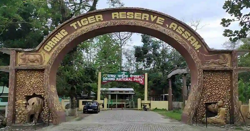 ओरांग राष्ट्रीय उद्यान गुरुवार से होगा पर्यटकों के लिए बंद