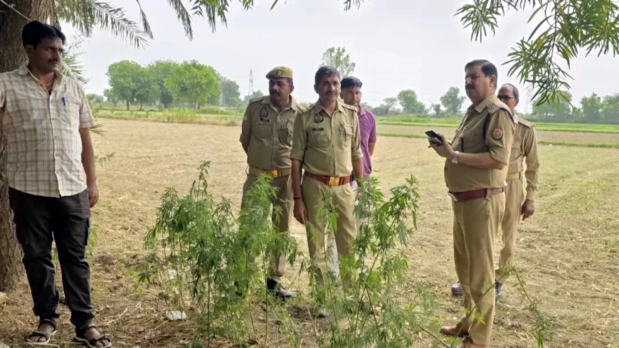 मथुरा के बरसाना में पुजारी की नृशंस हत्या