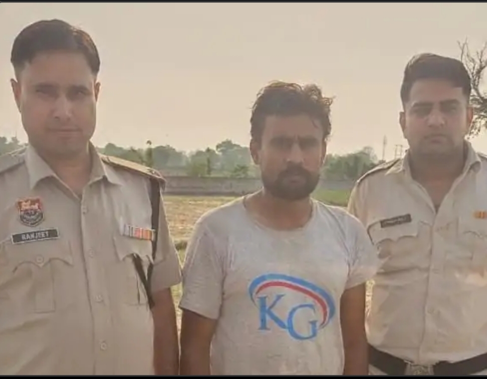 पलवल में तस्करी का भंडाफोड़: तीन गोवंश बरामद, तस्कर गिरफ्तार