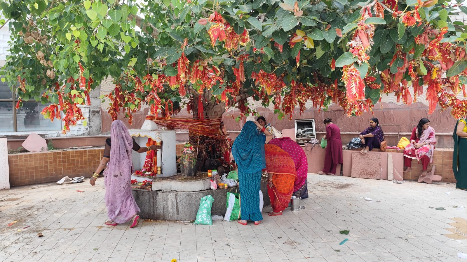 अनूपपुर: पति की लम्बी आयु कामना व प्र‍गति के लिए महिलाओं ने वटवृक्ष का किया पूजन
