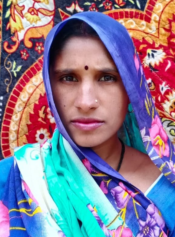 अन्ना गोवंश से टकराकर गिरे बाईक सवार दम्पत्ति, पत्नी की मौत