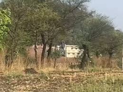 गुना में टेकरी रोड पर मैरिज गार्डन संचालक ने लगाई फांसी, पेड़ से लटका मिला शव