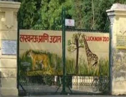 यूपी के चिड़ियाघरों में बर्ड फ्लू को लेकर हाई अलर्ट, वन्य जीवों की सुरक्षा के लिए उठाए गये कदम