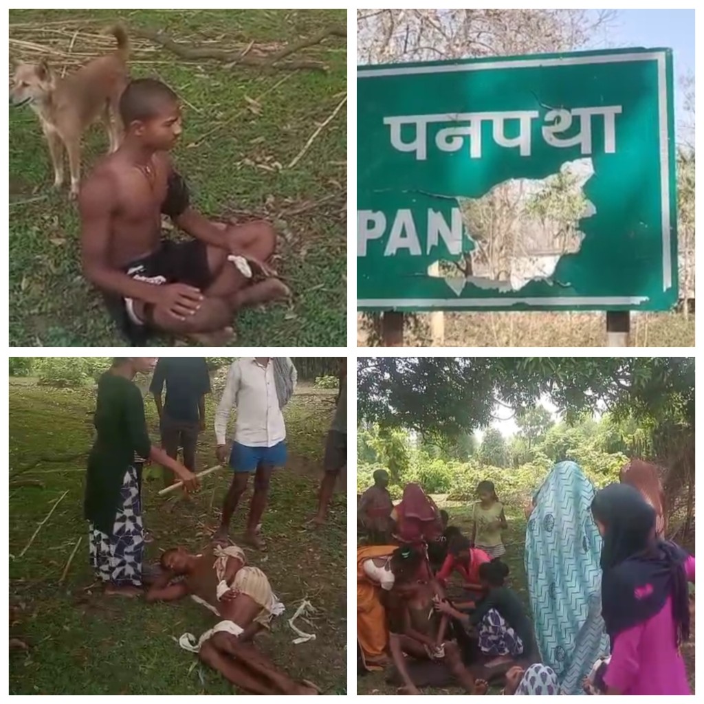 उमरिया: मवेशी ढूढ़ने गए दो ग्रामीणों को बाघ ने किया घायल, घंटो बाद मिला इलाज