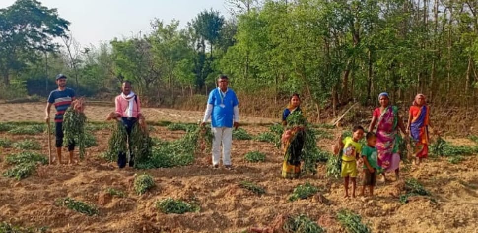 झारखंड के किसान ने शुगर फ्री शकरकंद की खेती से रचा इतिहास