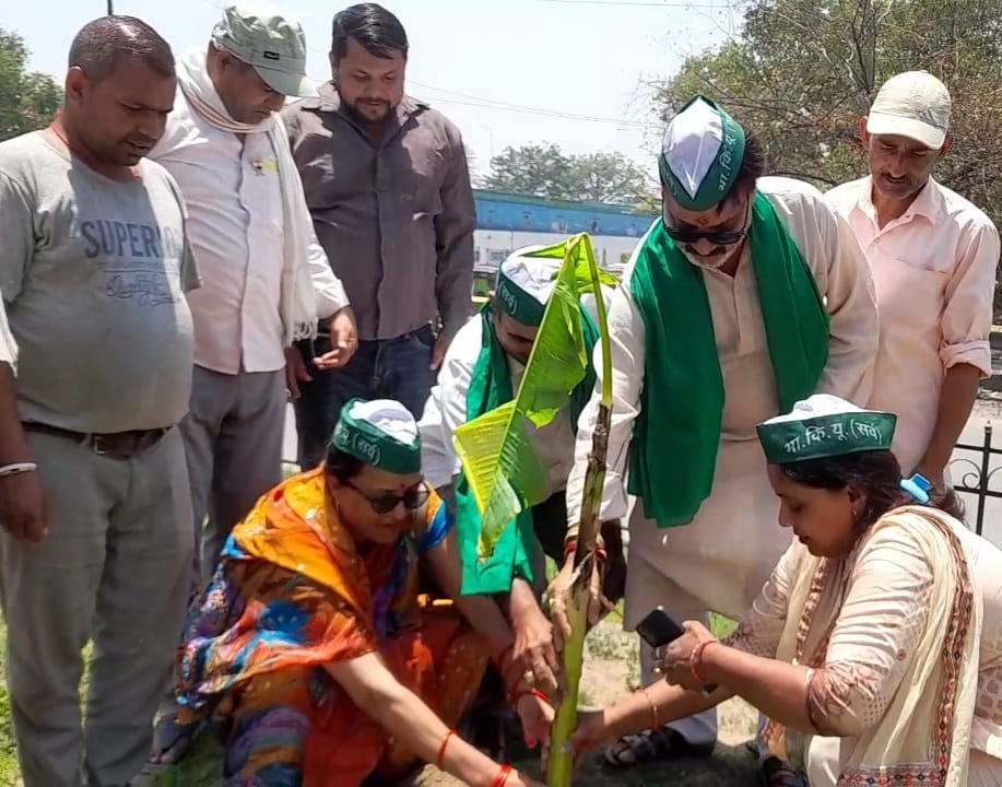भाकियू द्वारा वृक्षारोपण भाकियू द्वारा वृक्षारोपण