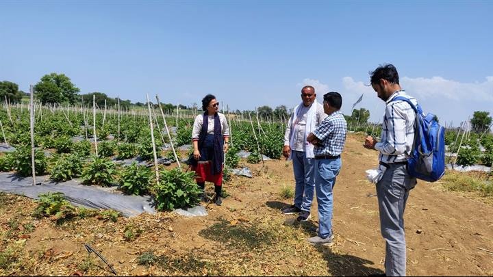 जबलपुरः हाई वेल्यू क्रॉप एवं औषधीय फसलों की खेती की ओर बढ़ रहा कृषकों का रुझान