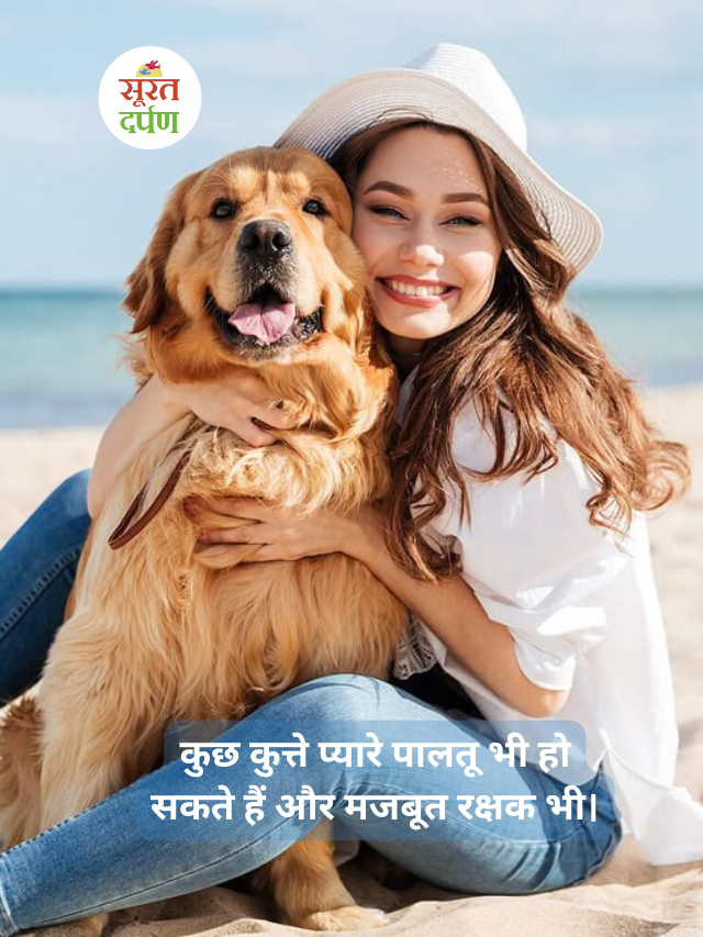 सबसे अच्छे गार्ड डॉग की नस्लें जो मित्रवत भी होती हैं