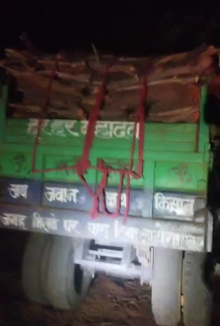 पेड़ों के दुश्मनों पर कसा शिकंजा, वन विभाग की बड़ी कार्रवाई!
