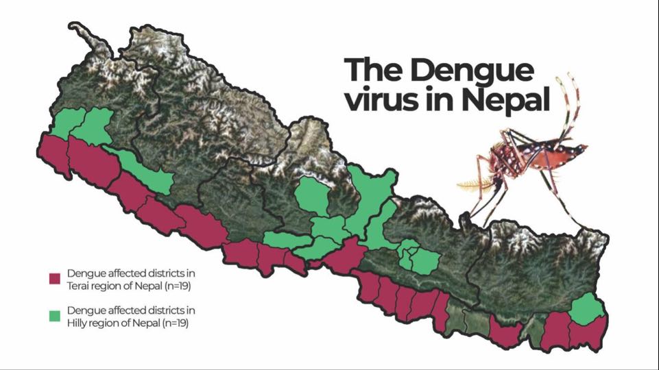 नेपाल के 76 जिलों में से 71 डेंगू की गिरफ्त में