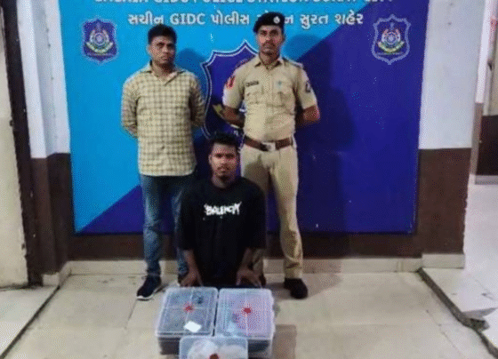 स्कूल बैग