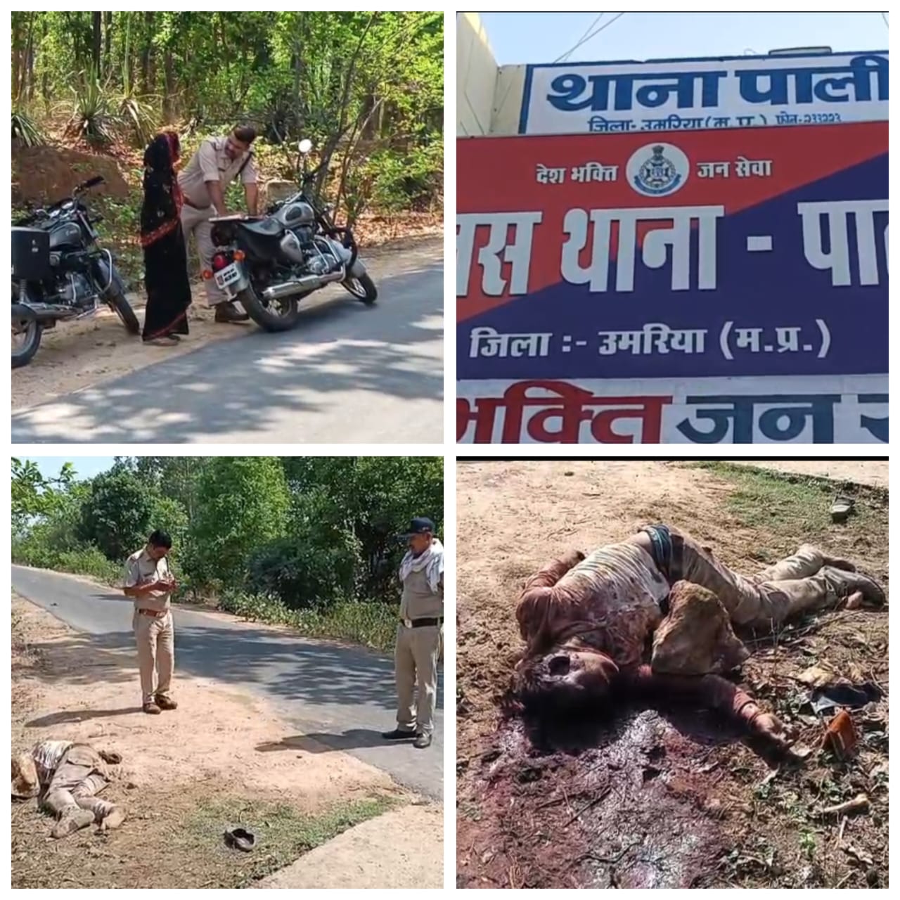 उमरिया : 24 घंटे के भीतर दूसरी घटना, पत्थर से सिर कुचलकर कर दी हत्या