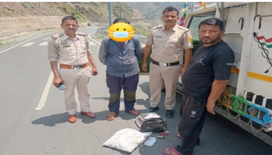 शिलाई में वाहन से 718 अफीम डोडे बरामद