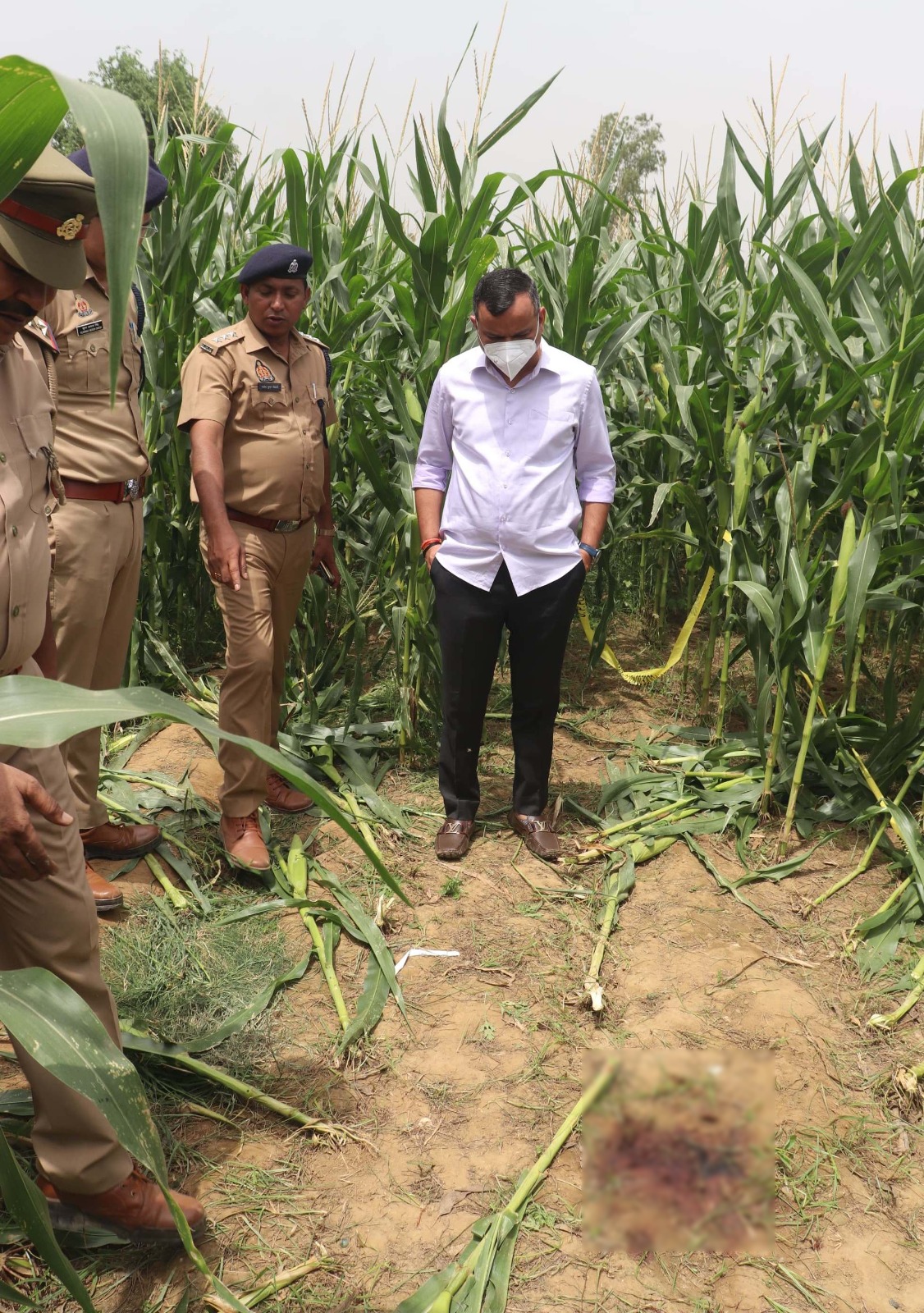 मक्का के खेत में मिला नाबालिग लड़की का शव